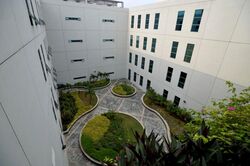 Serangoon North Avenue 5 (D19), Factory #454148821
